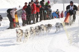 Lenk 2012 SM